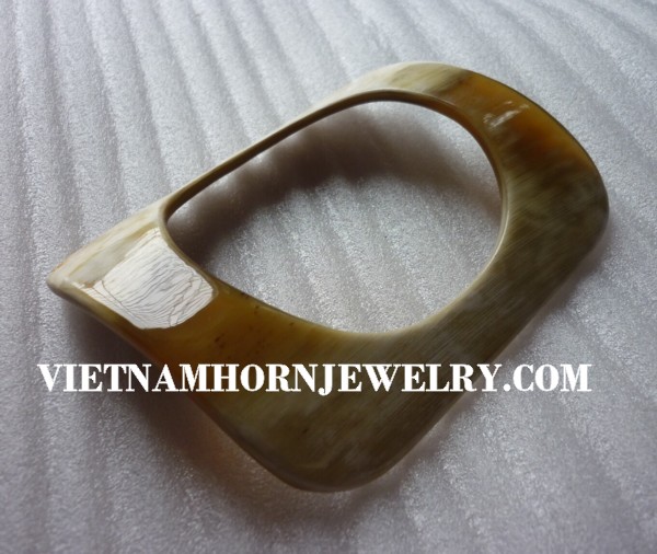 Exquisite Horn Jewelry - Unique Buffalo Horn Creations